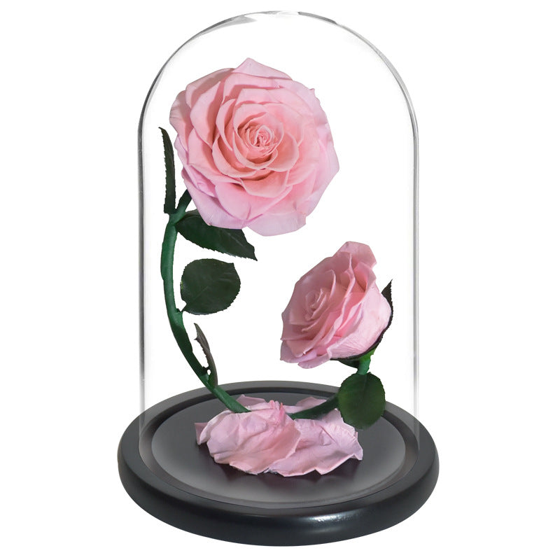 Double Preserved Flower Rose Valentine's Day Gift natural Rosa preservada dura más de un año