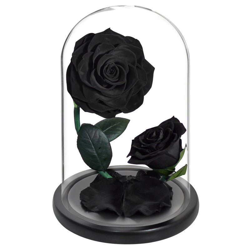 Double Preserved Flower Rose Valentine's Day Gift natural Rosa preservada dura más de un año