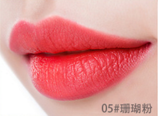 matte lipstick vegan not fade long lasting