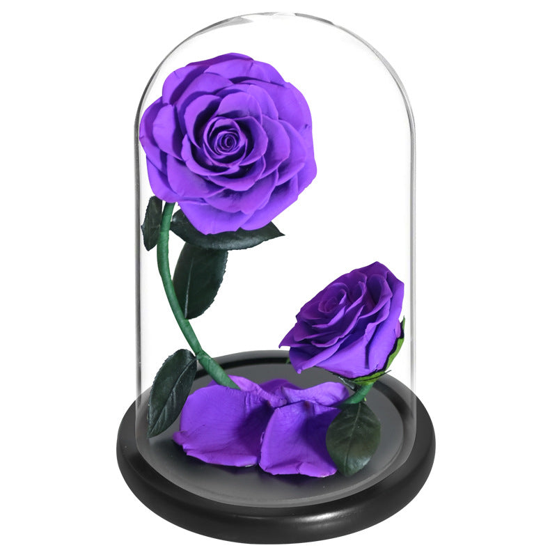 Double Preserved Flower Rose Valentine's Day Gift natural Rosa preservada dura más de un año