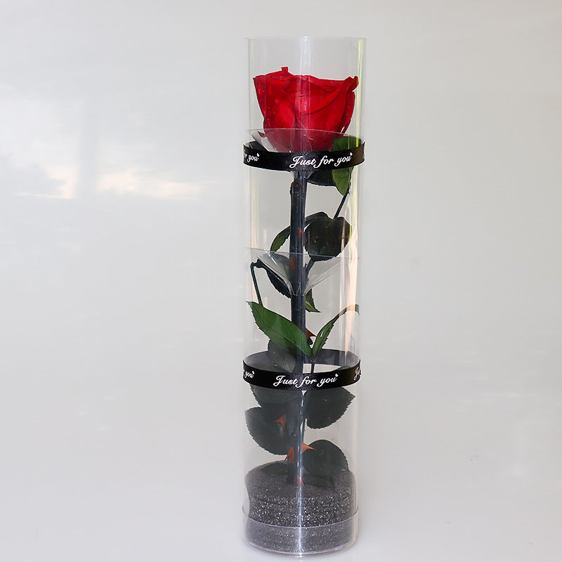 Infinite Rose Preserved Fresh Flower  Ornaments Special Tecnology Love For Year