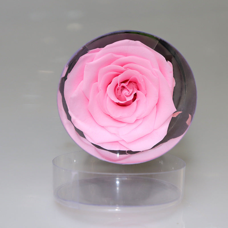 Infinite Rose Preserved Fresh Flower  Ornaments Special Tecnology Love For Year