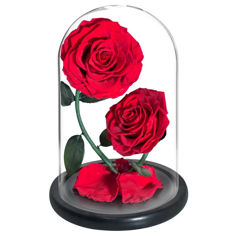 Double Preserved Flower Rose Valentine's Day Gift natural Rosa preservada dura más de un año