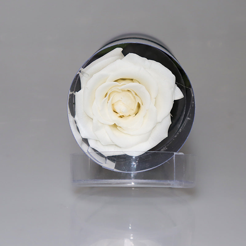 Infinite Rose Preserved Fresh Flower  Ornaments Special Tecnology Love For Year