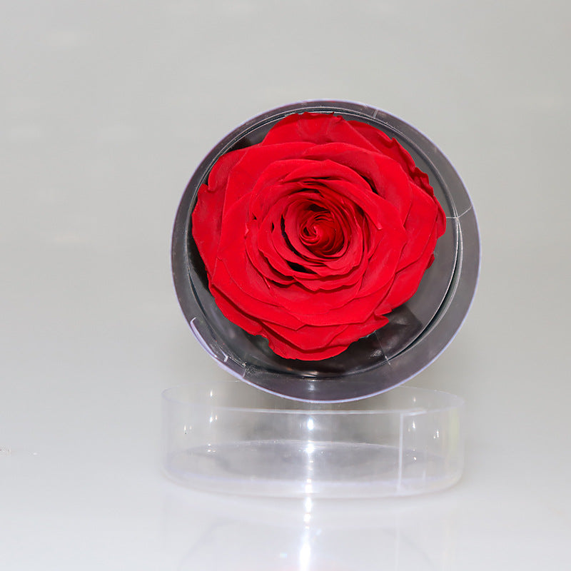 Infinite Rose Preserved Fresh Flower  Ornaments Special Tecnology Love For Year