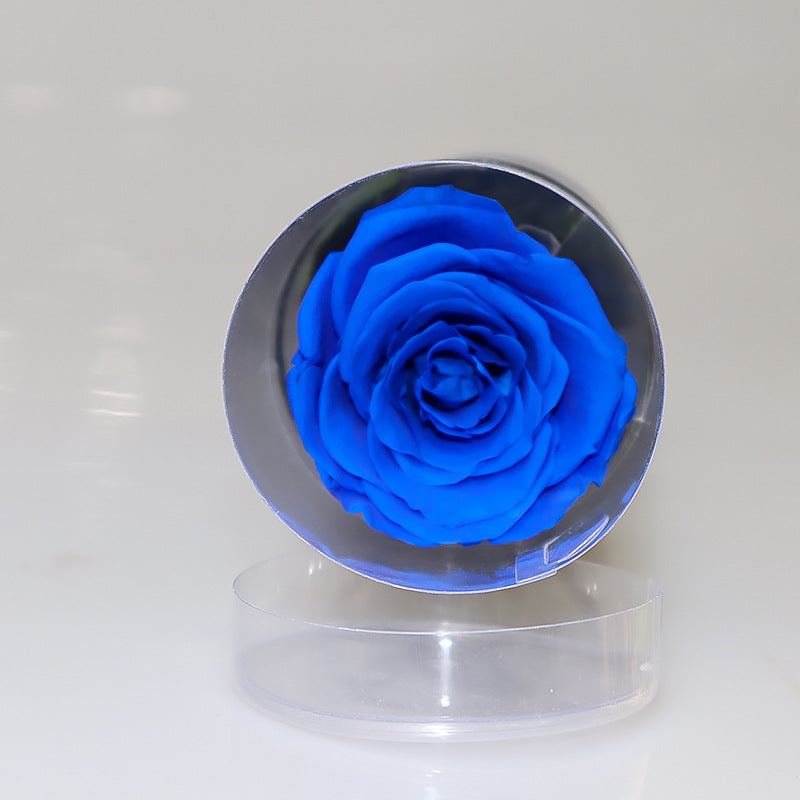 Infinite Rose Preserved Fresh Flower  Ornaments Special Tecnology Love For Year