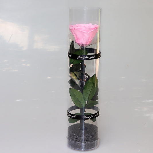 Infinite Rose Preserved Fresh Flower  Ornaments Special Tecnology Love For Year