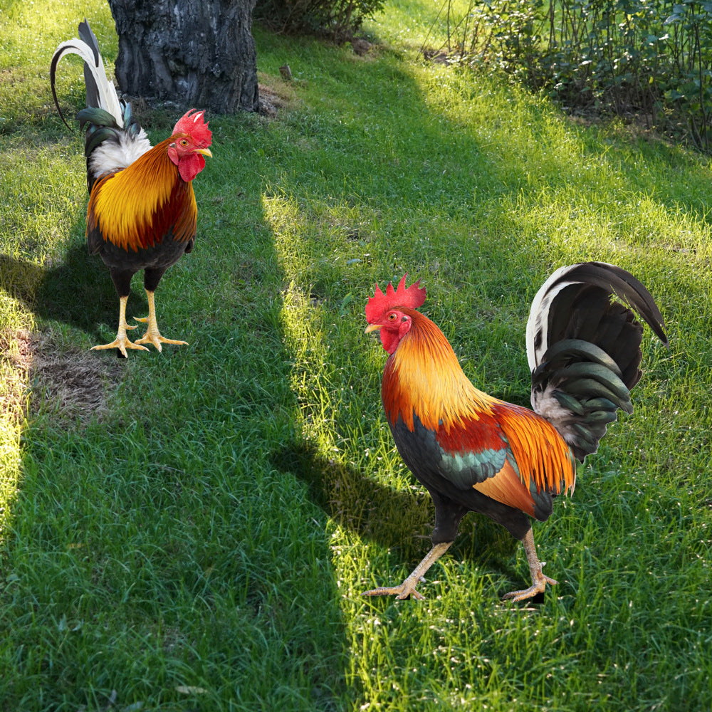 Gallo De Patio De Acrílico 3D Estacado Patio Decoración Rooster Garden Decoration